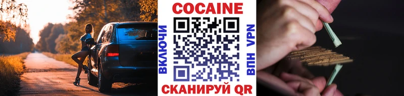 где купить   Нефтекумск  COCAIN Fish Scale 