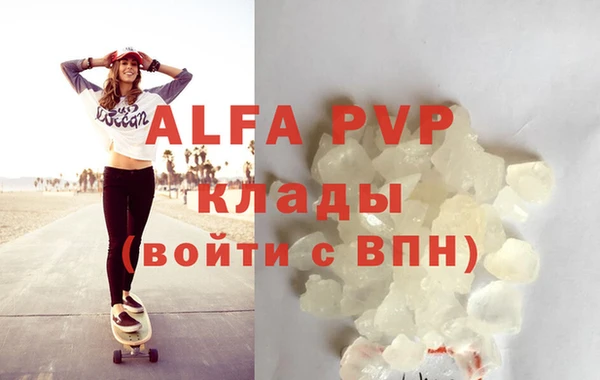 таблы Новозыбков