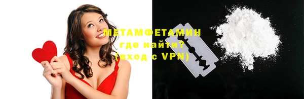 трава Няндома