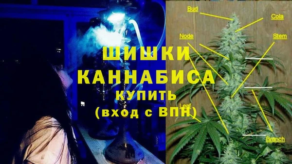 2c-b Новодвинск
