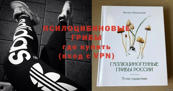 таблы Новозыбков