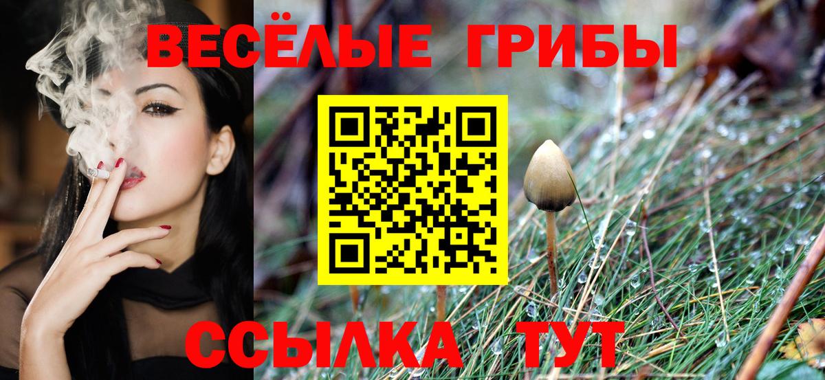 Галлюциногенные грибы MAGIC MUSHROOMS Нефтекумск