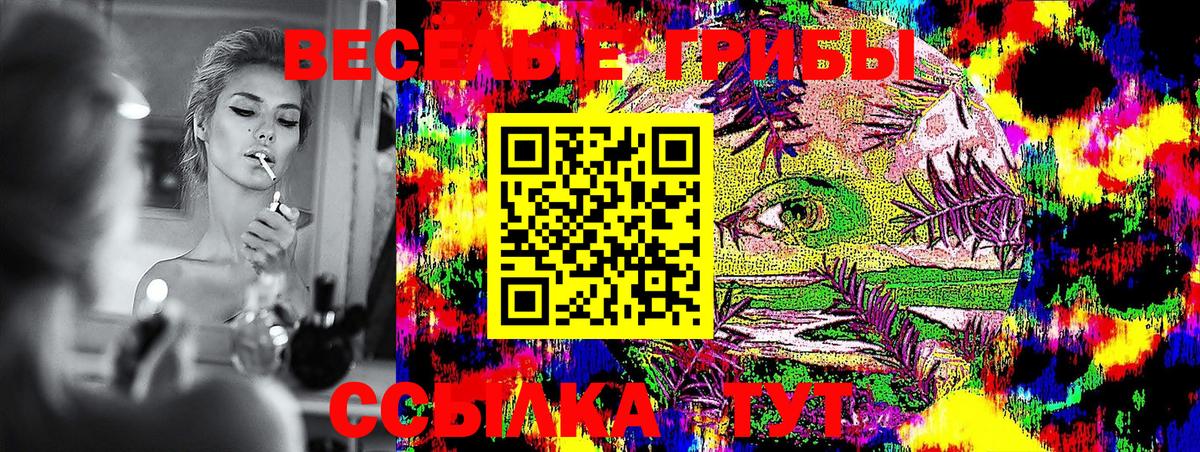 Галлюциногенные грибы мицелий  Вход с VPN  Нефтекумск 